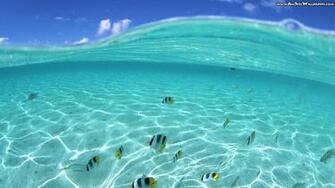 Hawaii Widescreen Desktop Pixel Popular HD Wallpaper