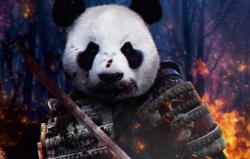 Wallpaper Weapons Fire War Blood Katana Japan Warrior
