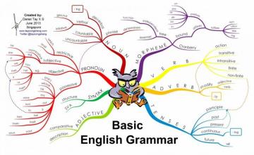 Basic Grammar Ad Infographics Letta