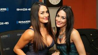 Celebs Things You Didn T Know About The Bella Twins