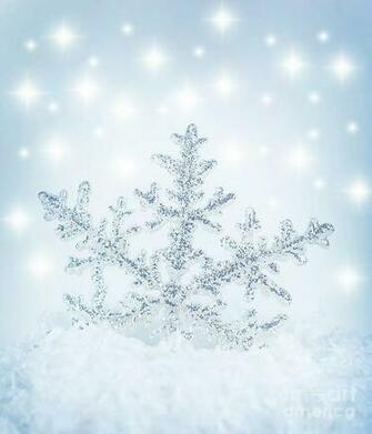 Snowflake Background By Anna Omelchenko