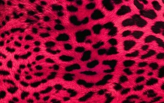 Pink Leopard Print Wallpaper By Angeldust