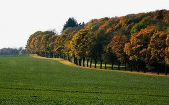 Nature Wallpaper With