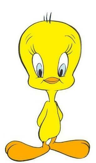 Tweety Bird Photo