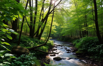 Nature Home Wallpaper
