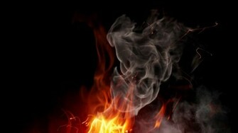 Flowers Fire Flower Wallpaper