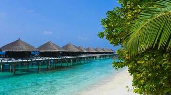 Wallpaper Nature Su Allpapers Summer
