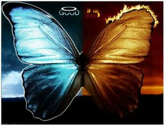 Good Vs Evil Butterfly By Xxxdrewxxx