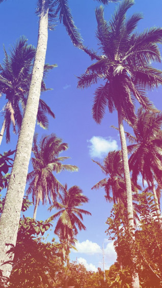 Pink Aesthetic Wallpaper
