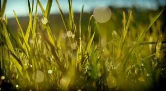 Relaxing Desktop Background Wallpaper Jpg