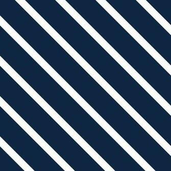 Navy White Digital Paper Pack Silver Spiral Studio