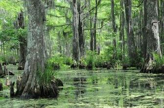 New Orleans Louisiana Natural Wonders Beautiful Places Pintere
