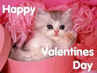 Show Your Pet Some Love This Valentine S Day Veterinary Secrets