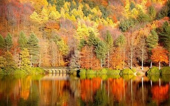 Fall Wallpaper In Colors