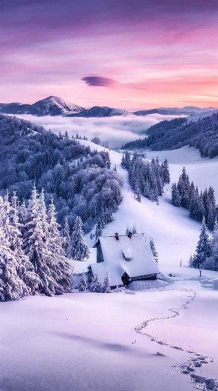 Winter iPhone Wallpaper Snow