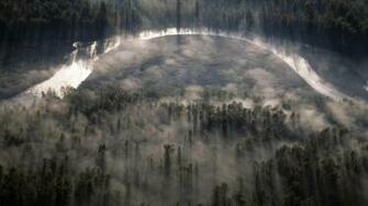 Foggy Forest Background Net