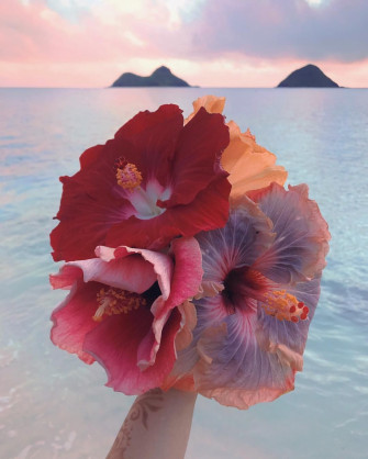 Follow Your Feelings The Goosebumps That Lives Just Outside Skin Wallpaper
