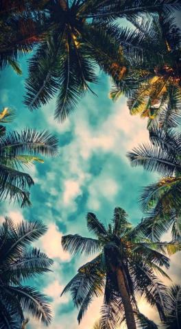 Whatsapp Chat Perfect Wallpaper Mobilewallpaper