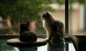 Lovely Rainy Day Wallpaper