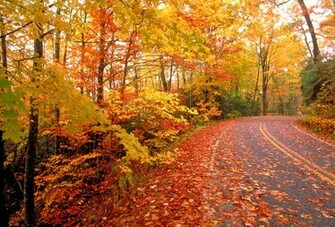 When Do The Leaves Change Color In Fall Inside Gatlinburg Tn