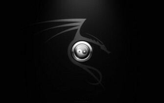 Yin Yang Dragon Wallpaper Memes
