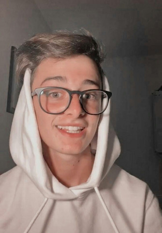 Noah Schnapp Icon In Wallpaper