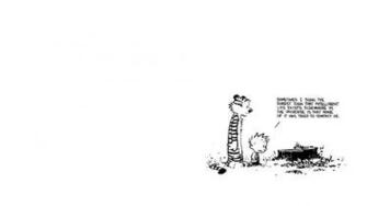 Calvin Hobbes Wallpaper And