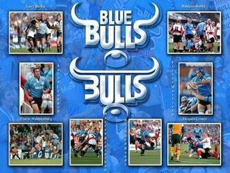 Blue Bulls Wallpaper