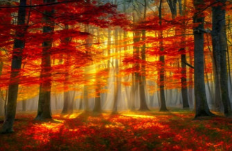 Red Forest Wallpaper