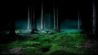 Fireflies Live Wallpaper For Android