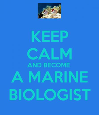 Marine Biology Wallpaper Become A Biologist