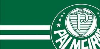 Palmeiras Wallpaper Apk Br