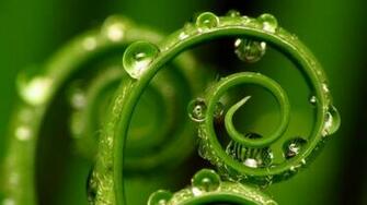 X Wallpaper Nature Close Up