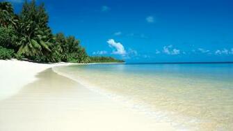 Tropical Mer Et La Plage Fonds D Cran Description