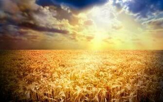 Beautiful High Resolution Wallpaper Ukrainian Flag The Blue Sky And