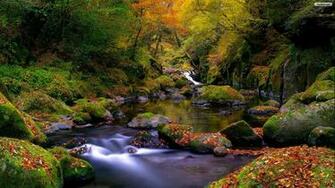 Youwall Autumn Landscape Wallpaper