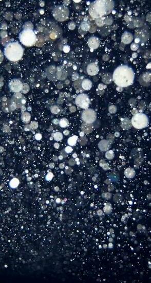 iPhone Wallpaper Glitter