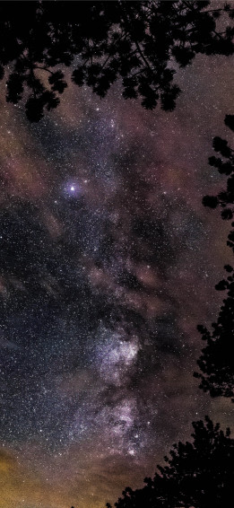 Star Gazing Photography iPhone Wallpaper