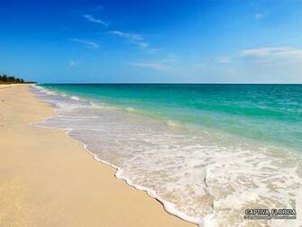 Florida Beaches Beach Photo Desktop Background Nature
