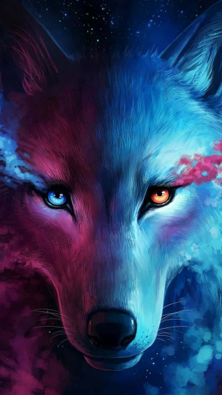Cool Animal Galaxy Wallpaper