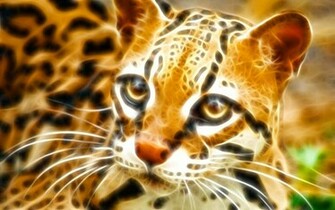 Ocelot Fractal Wallpaper