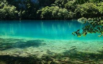 Fly Fishing Wallpaper