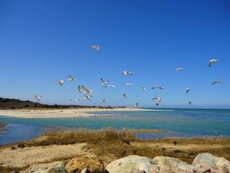 Cape Cod Washashore Bay In The Spring