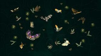 Butterflies Moths And Fireflies Wallpaper