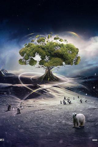 Tree Of Life iPhone 4s Wallpaper