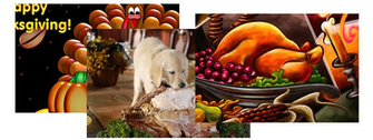 Thanksgiving Desktop Fun Wallpaper Collection Pureinfotech