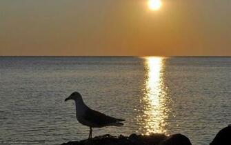Wallpaper Sea Distance Horizon Sky