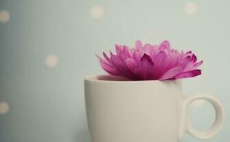 Pretty Pink Wallpaper