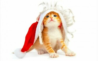 Funny Christmas Wallpaper