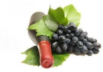Wine Wallpaper Background